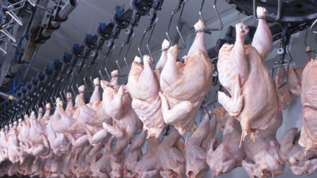 Exportações de carne de frango