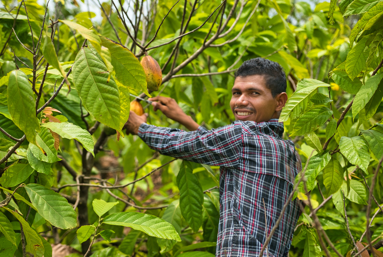 Cofinanciamento impulsiona investimento social privado na Amazônia