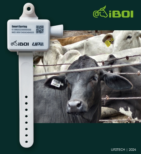 Empresa de telecom lança iBoi, tecnologia para geolocalização do gado