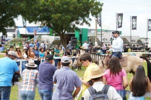 Novidade na Tecnoshow, área da pecuária integra palestras temáticas e campo para dinâmicas com animais