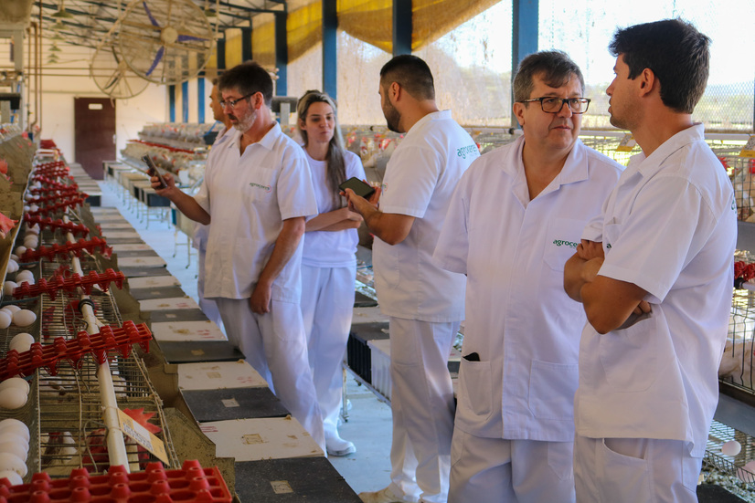 Conselho Técnico de Aves da Agroceres Multimix visita Núcleo de Tecnologia e Inovação