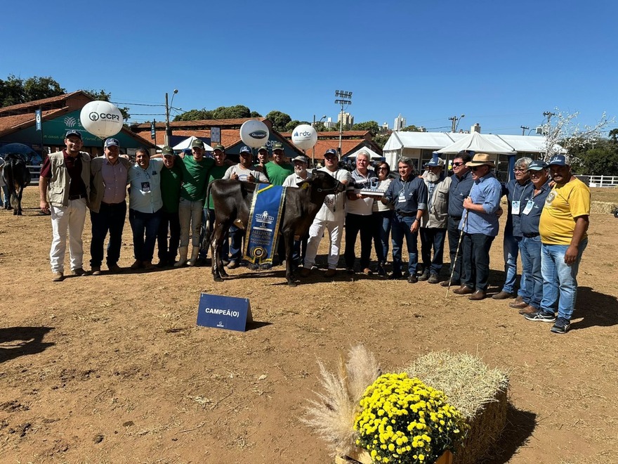 Qual é o segredo para uma fazenda leiteira premiada?