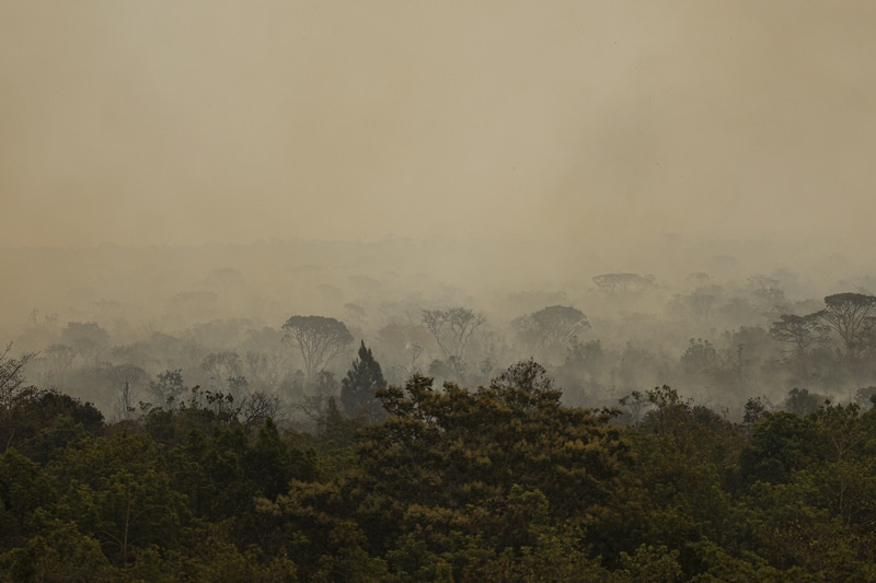 Sistema de monitoramento e alerta de queimadas ajuda em gestão de riscos contra incêndios