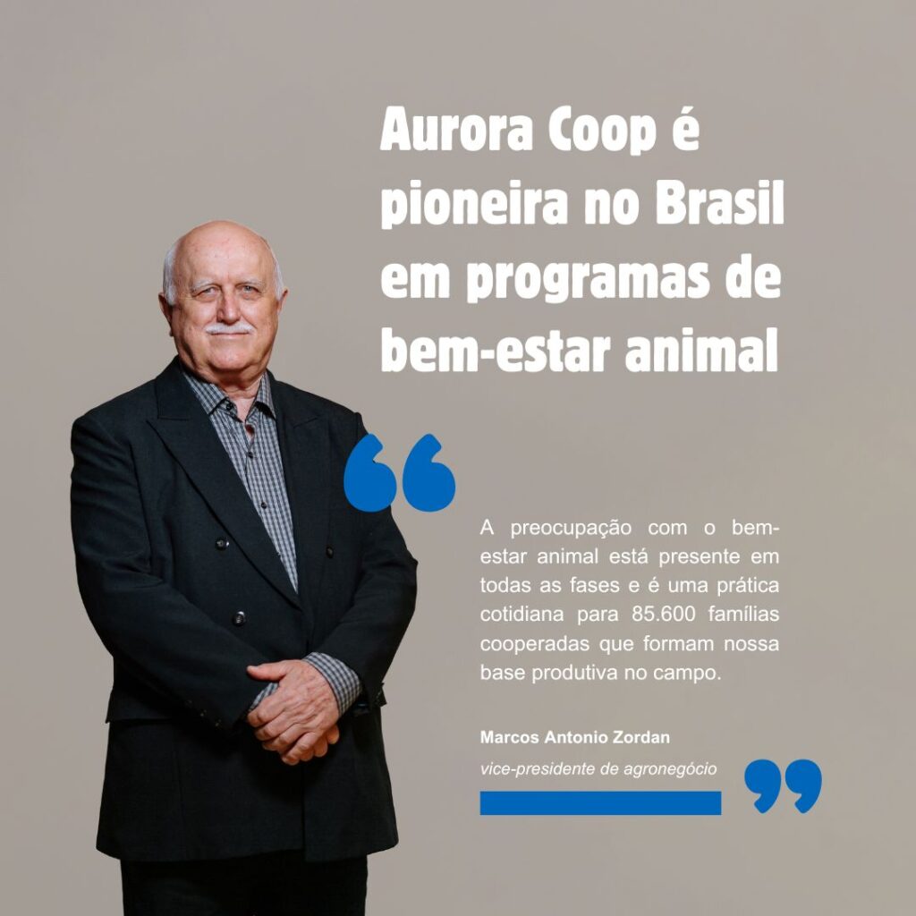 Aurora Coop é pioneira no Brasil em programas de bem-estar animal