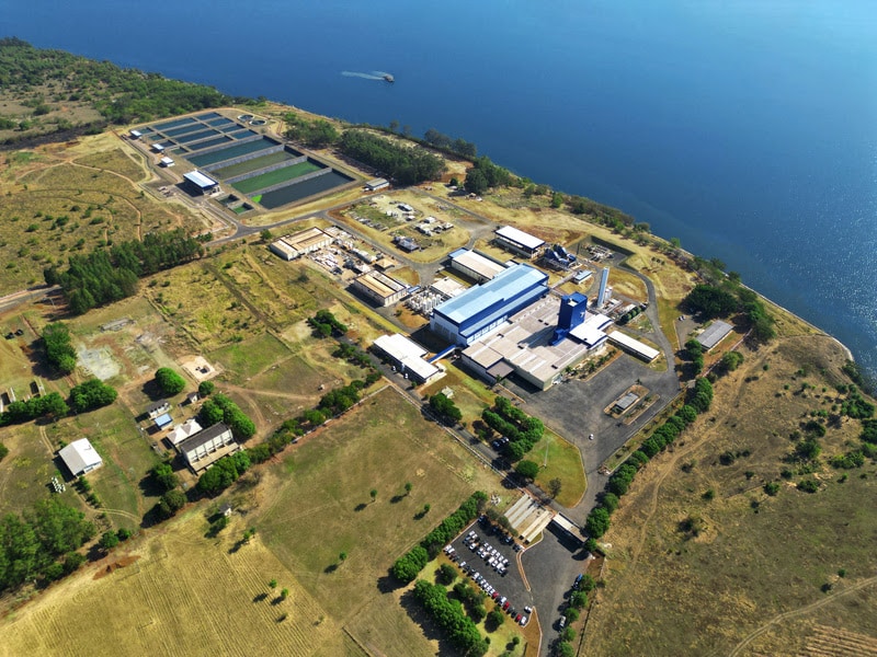 Novo colágeno da JBS, Genu-in® Life Skin promove mais firmeza e elasticidade da pele, segundo pesquisa