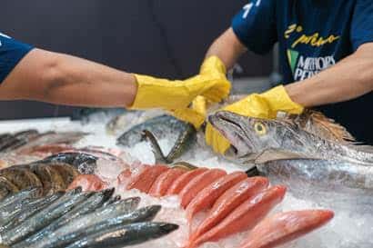 Seafood Show Latin America 2025: o ponto de encontro estratégico para atacadistas, varejistas e distribuidores de pescado