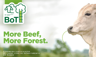 Imaflora lança a primeira certificação de carne livre de desmatamento do mundo