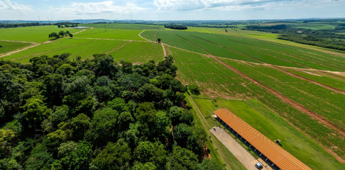 Curso técnico gratuito em Agropecuária oferece formação prática em um dos setores que mais crescem no Brasil