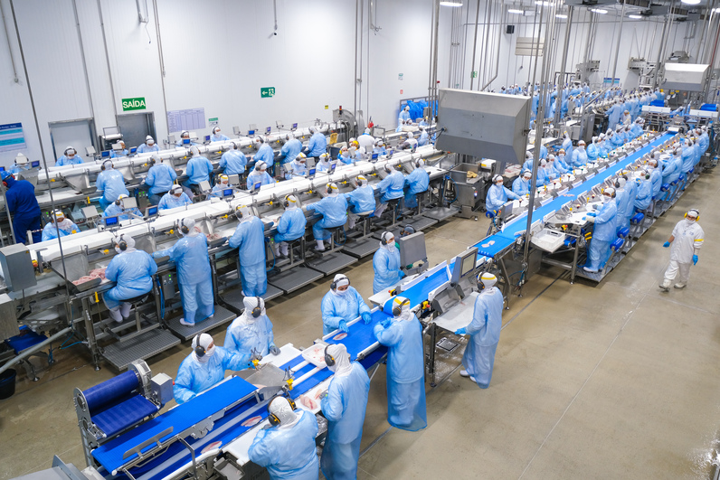 C.Vale aposta em tecnologia e genética para impulsionar o consumo de tilápia no Brasil