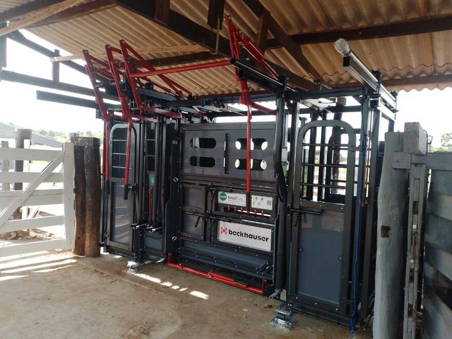 Manutenção de equipamentos de contenção garante segurança e bem-estar no manejo de bovinos