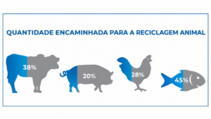 Reciclagem animal