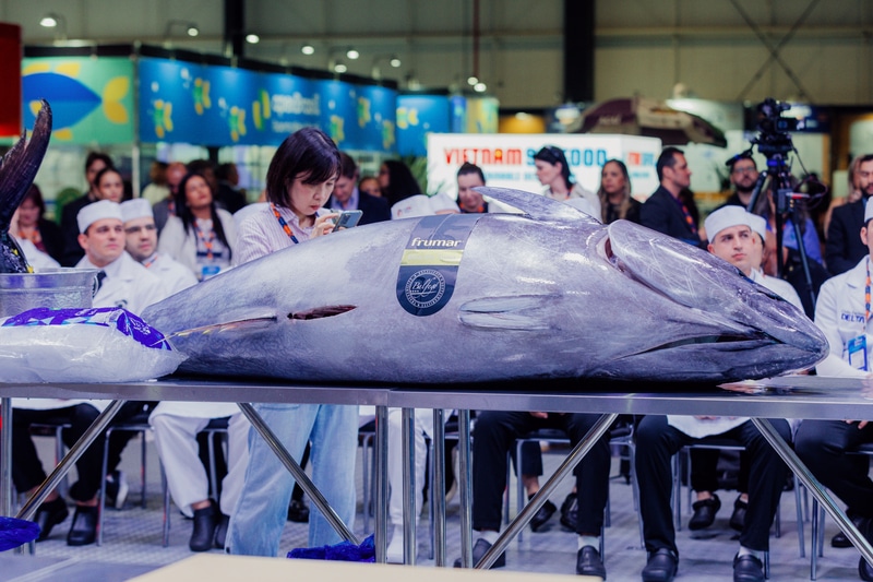 Os desafios e oportunidades no comércio internacional de pescado são debatidos na Seafood Show Latin America 2026